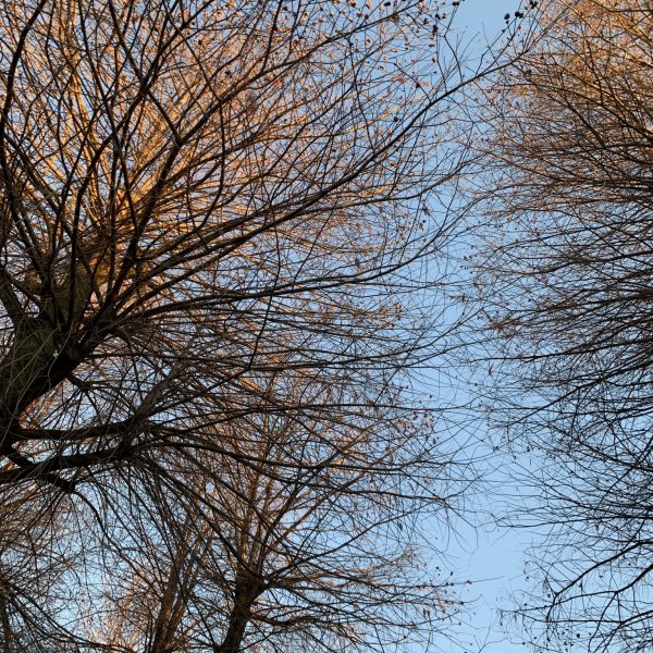 ホットヨガ三昧画像