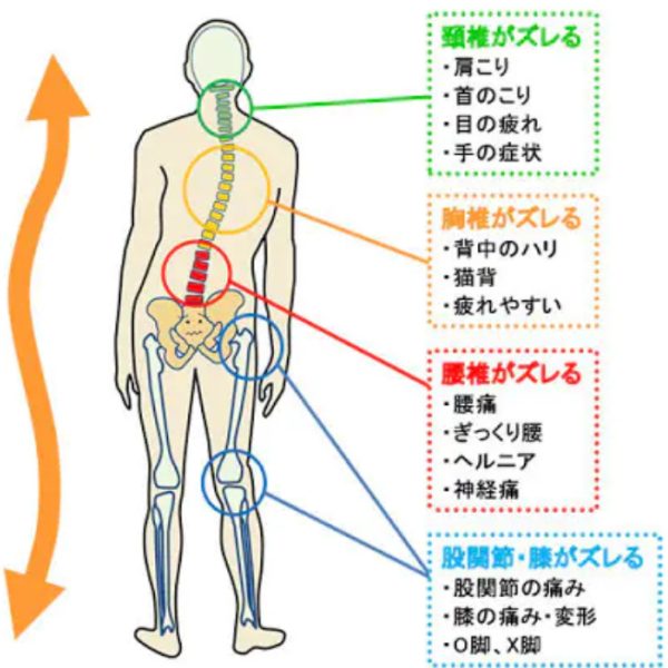 快適に動けるカラダ画像