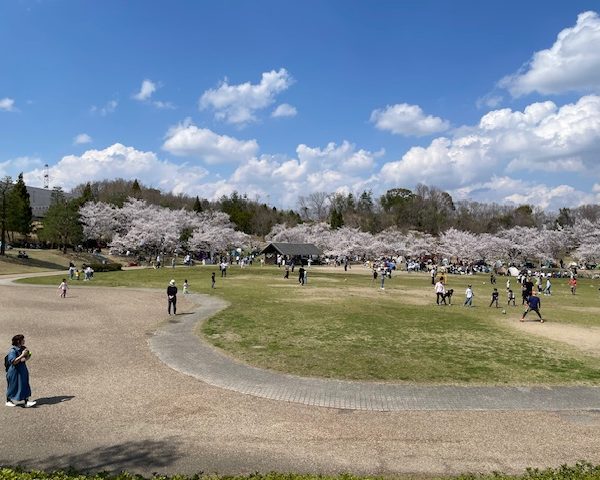 お花見～画像